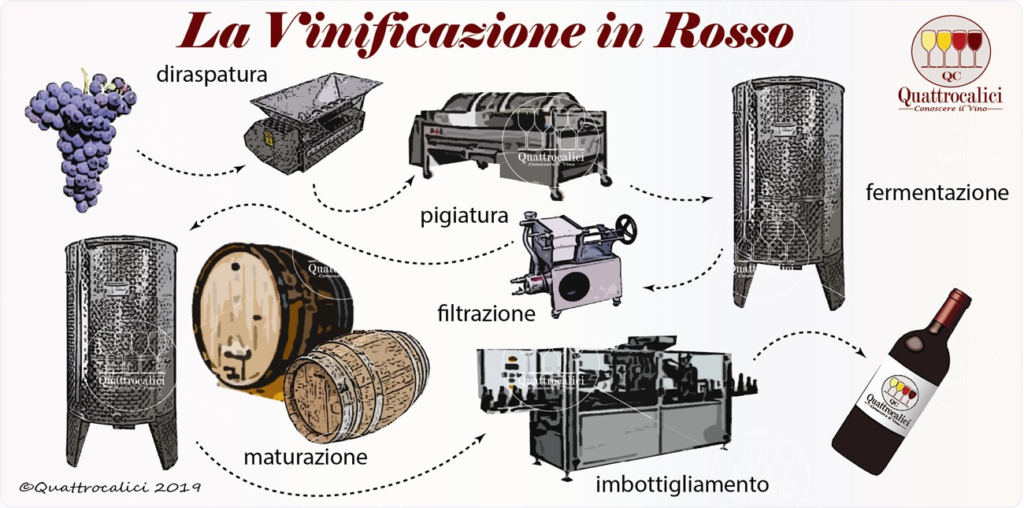 vino rosso
