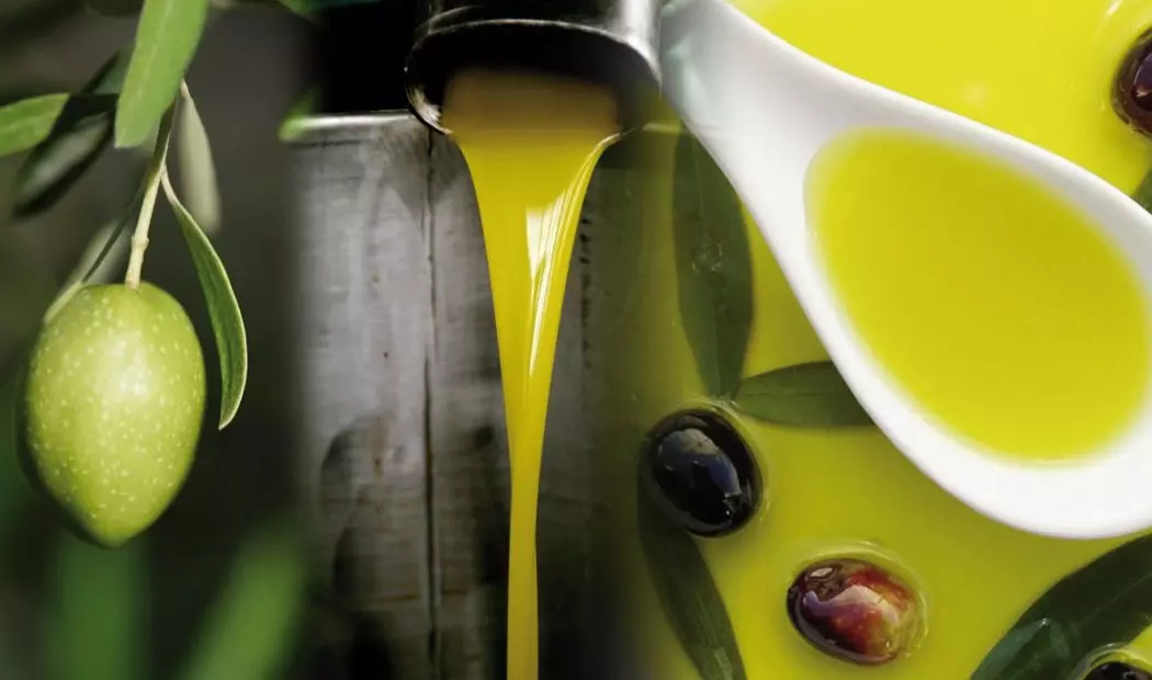 Processo produttivo – Dalle Olive all’Olio